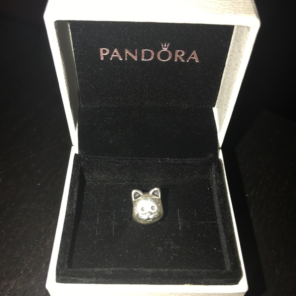 Pandora Charm