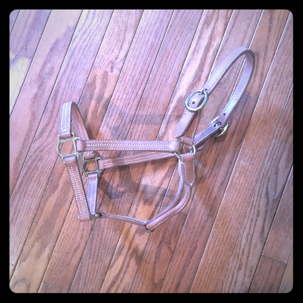 Leather yearling halter
