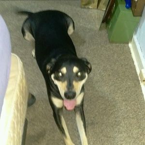 Meet your Posher, April