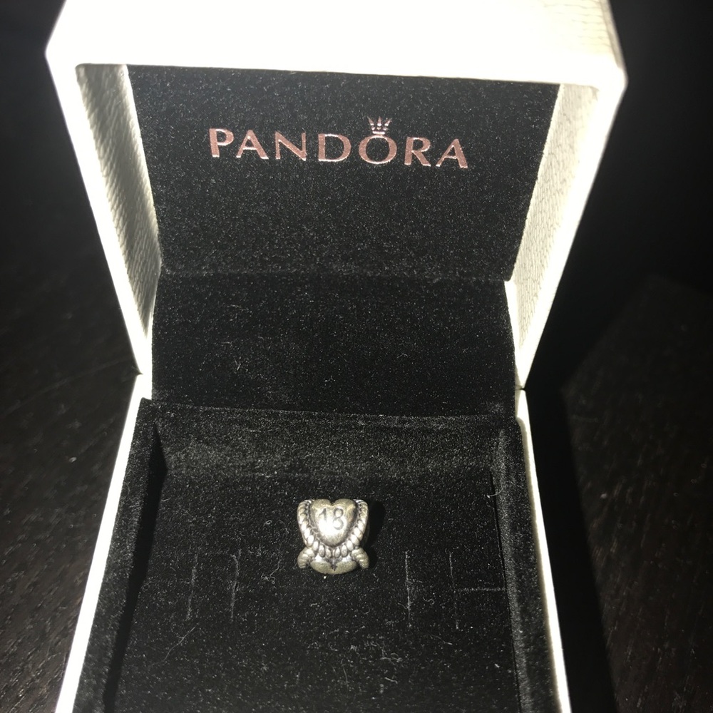 Pandora Charm