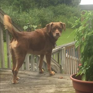 Meet your Posher, Kim