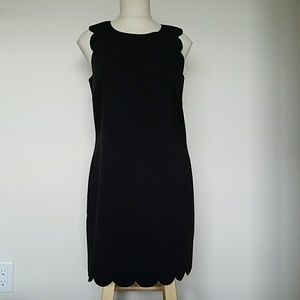 Gorgeous J Crew Black Career Dress size 6 NWT $168