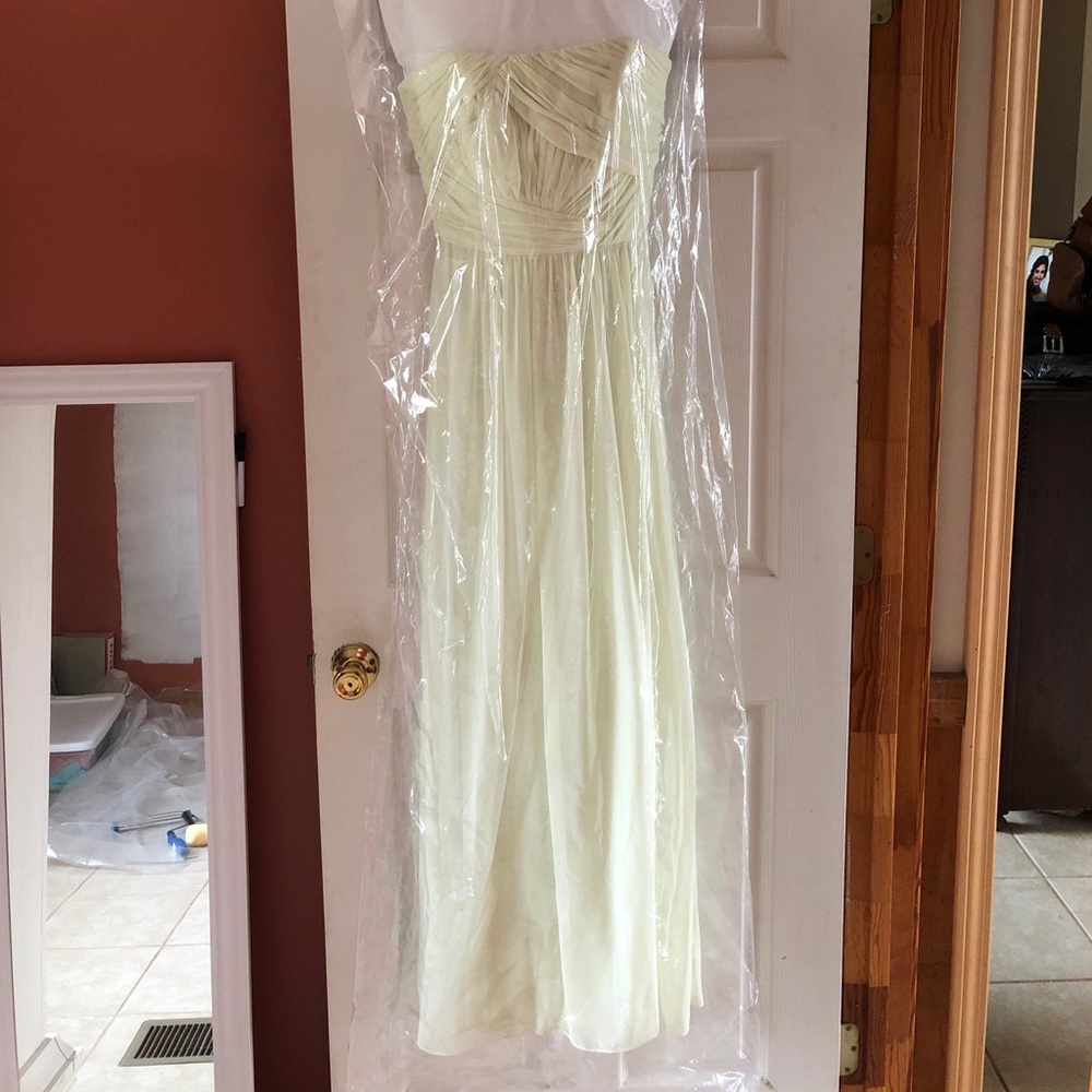 Strapless floor length gown. Color Pistachio
