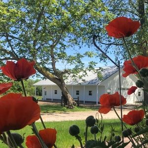 Meet your Posher, Molly