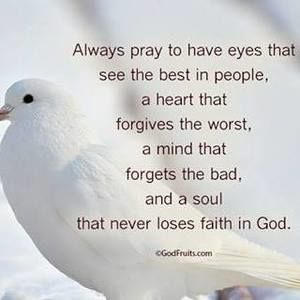 Meet your Posher, Teri