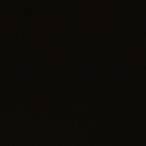 Meet your Posher, Camille