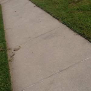 Meet your Posher, Gusy