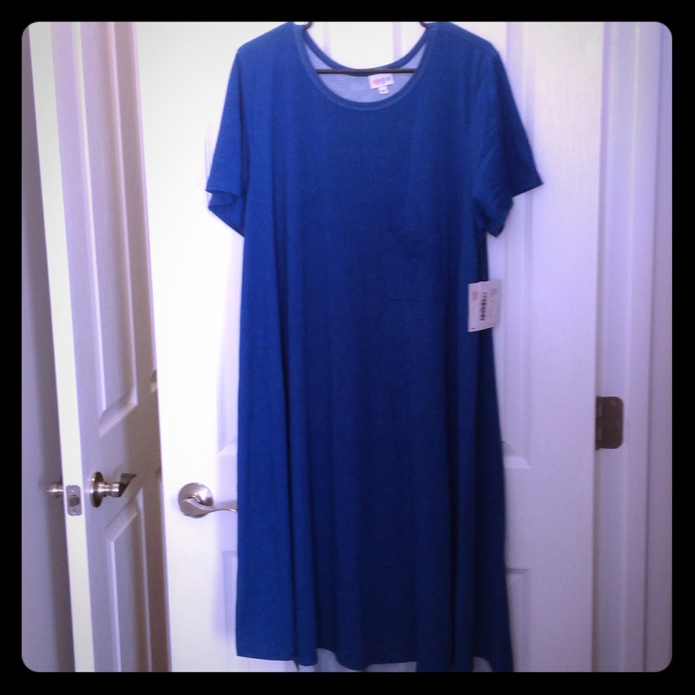 Women's LuLaRoe 3xl NWT Carly dress paisley