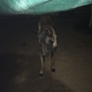 Meet your Posher, Bryan