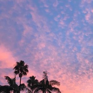 Meet your Posher, Mai