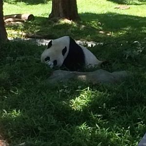 Meet your Posher, Darrly