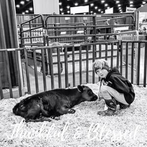 Meet your Posher, Benjamin