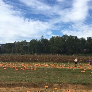 Meet your Posher, Lenore