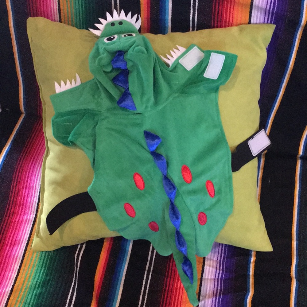Used once Dog Dinosaur costume