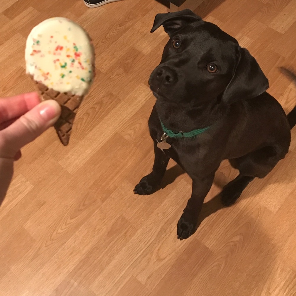 Meet your Posher, Melissa