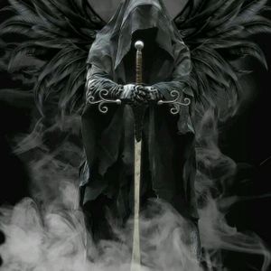 Meet your Posher, Lily