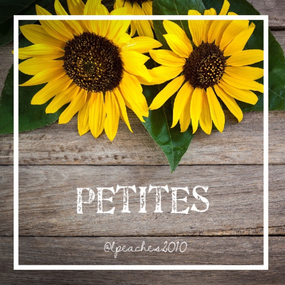 🌻 Petites 🌻