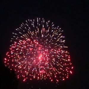 Meet your Posher, Jing