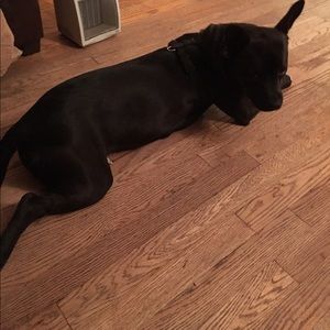 Meet your Posher, Zach