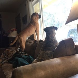 Meet your Posher, Dana