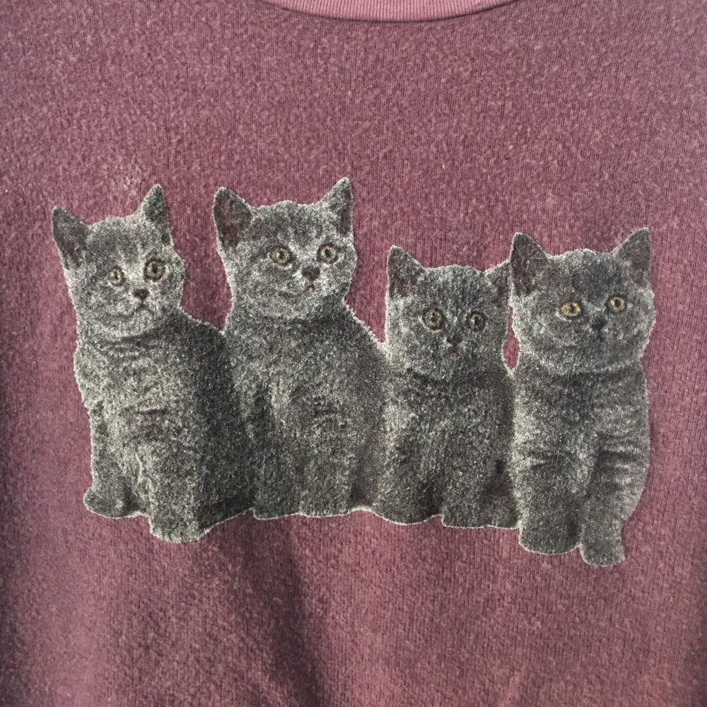 Wildfox kitten friends sweatshirt jumper