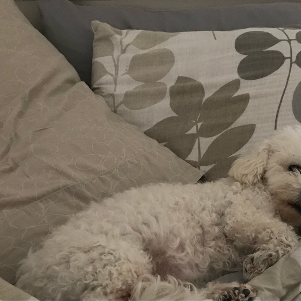 Meet your Posher, Jamie