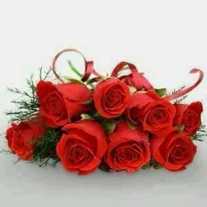 Meet your Posher, Rose