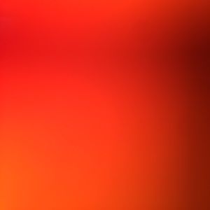 Meet your Posher, Paul