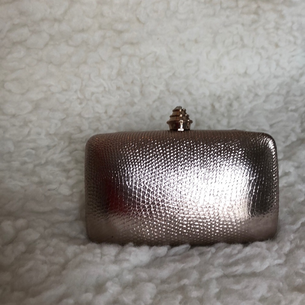 Champagne gold purse