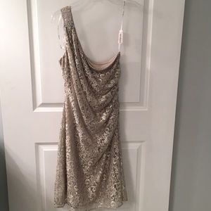 Calvin Klein off the shoulder lace cocktail dress