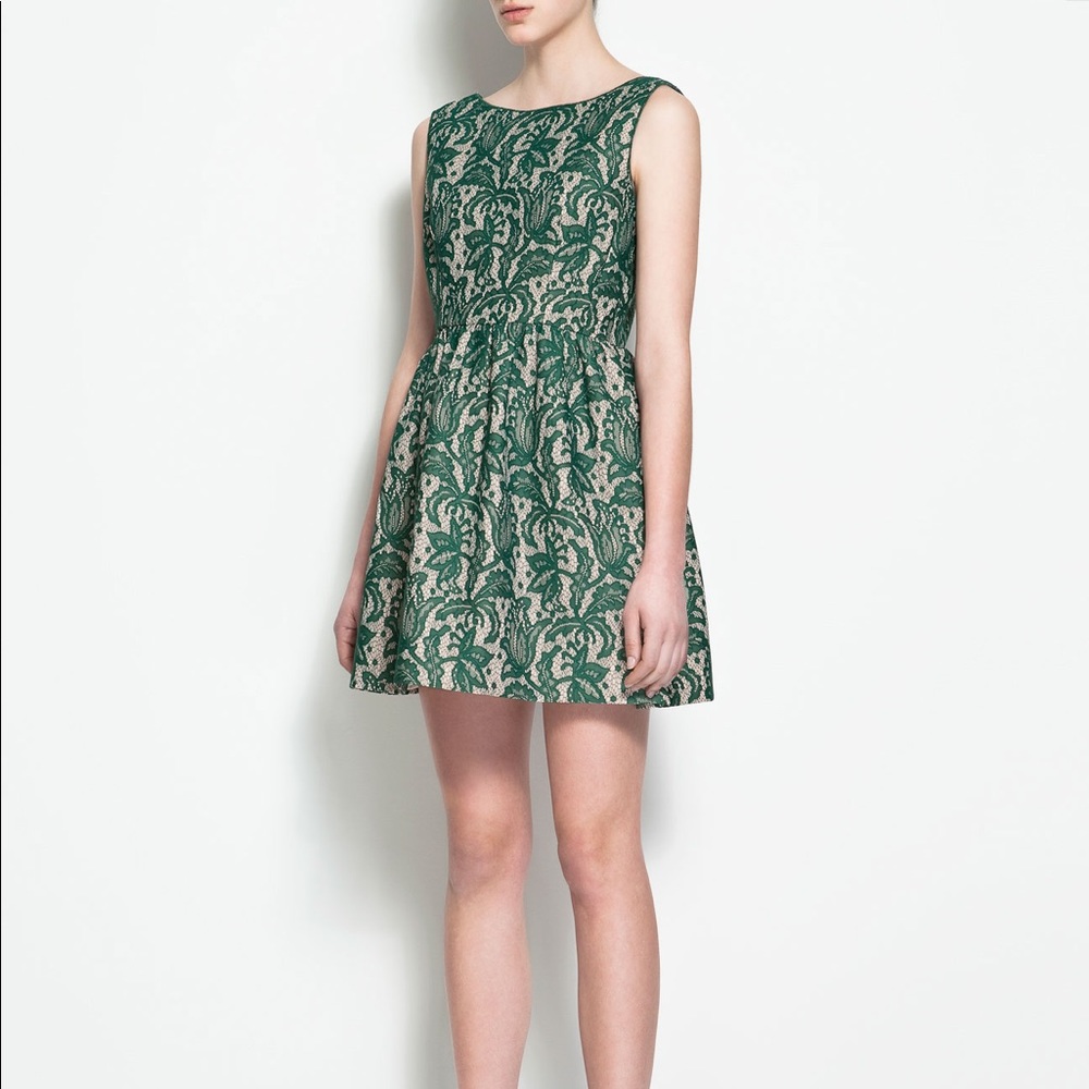 Zara Lace Tulip Dress 💚