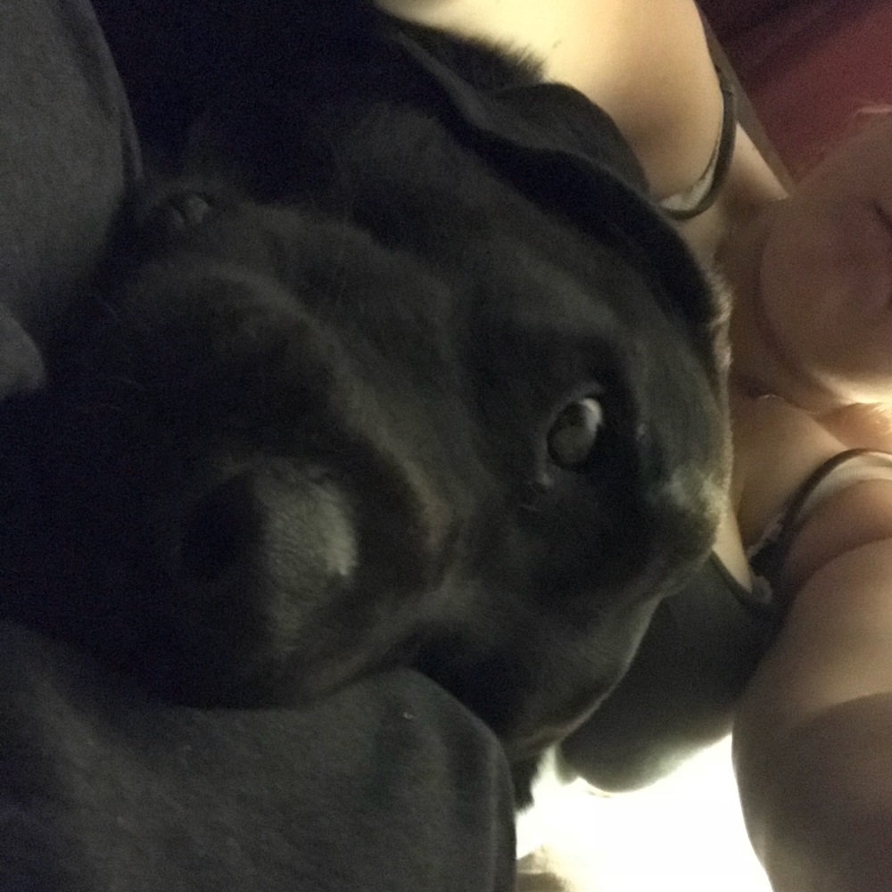 Meet your Posher, Amber