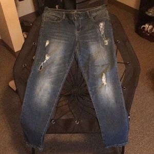 Maurices bootcut jeans