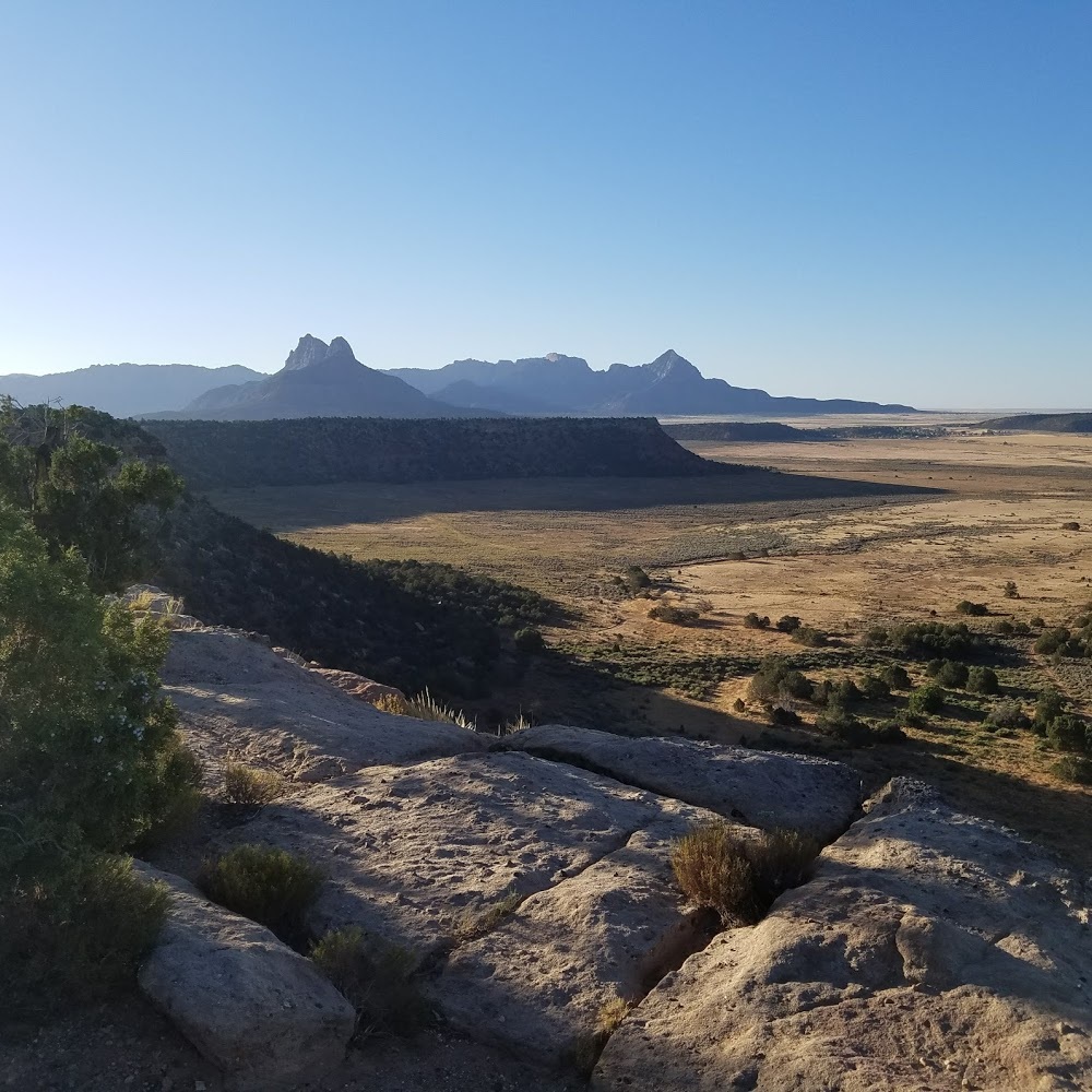 Meet your Posher, Jesse