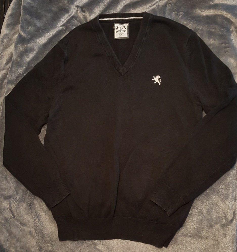 Express men's sweater