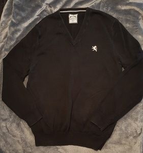 Express men's sweater