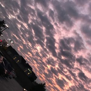 Meet your Posher, Mckenzie