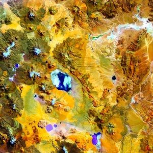 Meet your Posher, Lily