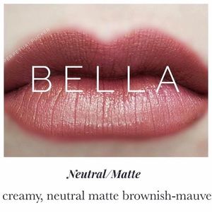 Bundle 4 colors 2 Gloss and a oops remover