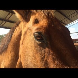 Meet your Posher, Dana