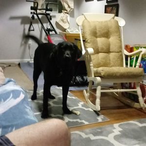 Meet your Posher, Dee