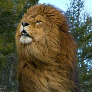 Meet your Posher, Ruby