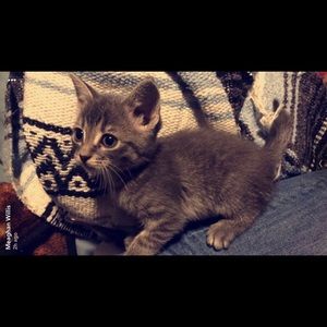 Meet your Posher, Meaghan