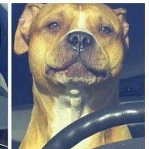 Meet your Posher, Jérémy