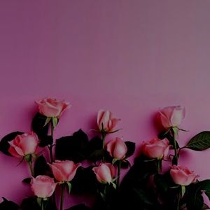 Meet your Posher, Ann