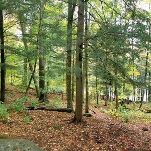 Meet your Posher, Colin