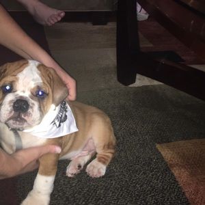 Meet your Posher, Christa