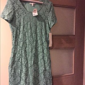 Dress, Bebe sweater and skirt, AIX shirt