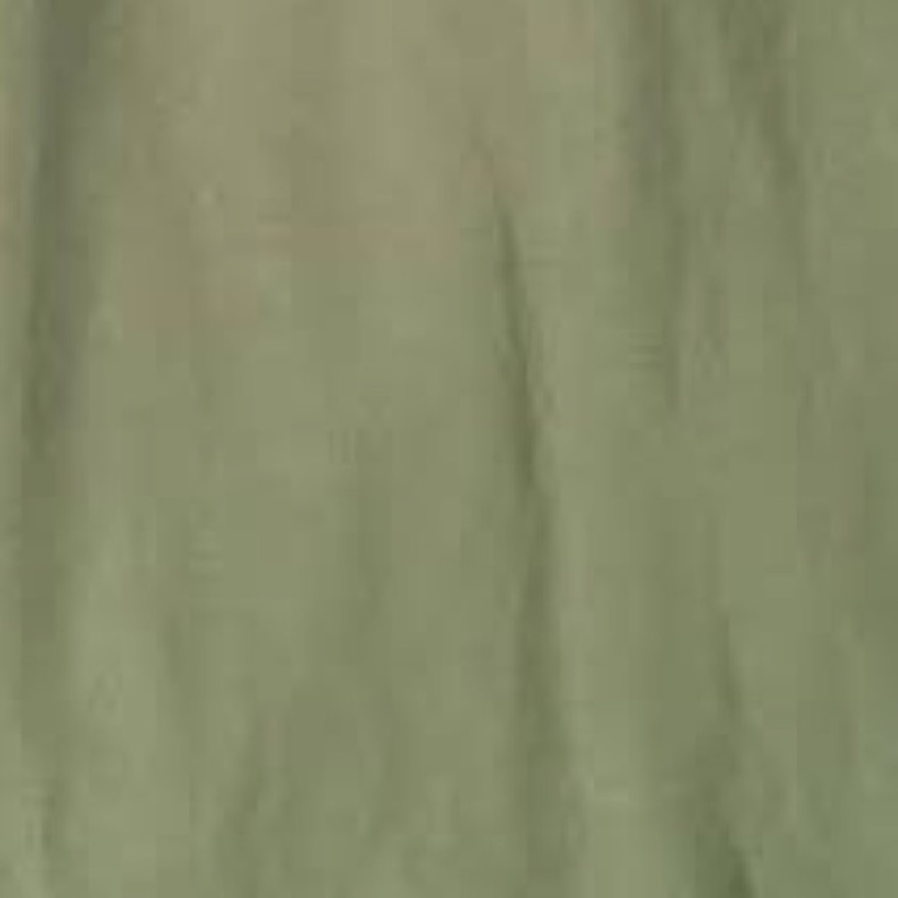 LuLaRoe army green OS leggings