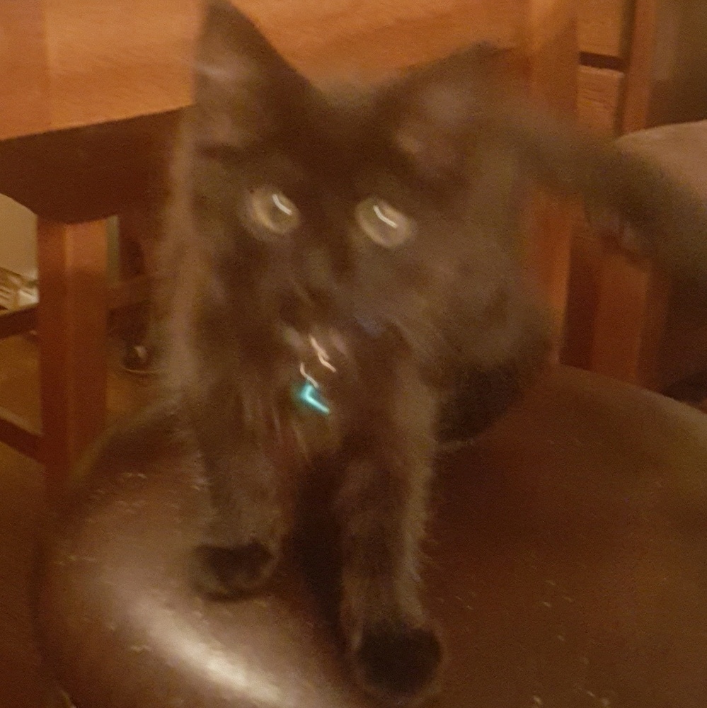 Meet your Posher, Christy